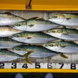 火遠理丸（ほおりまる） 釣果