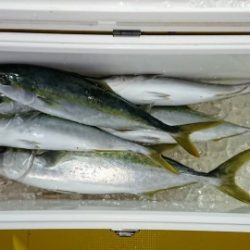 火遠理丸（ほおりまる） 釣果
