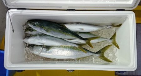 火遠理丸（ほおりまる） 釣果