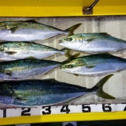 火遠理丸（ほおりまる） 釣果