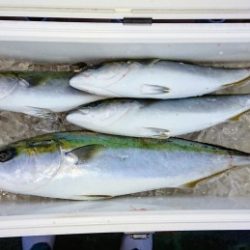 火遠理丸（ほおりまる） 釣果