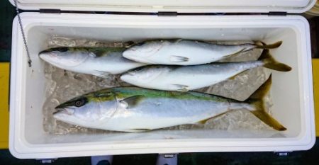 火遠理丸（ほおりまる） 釣果