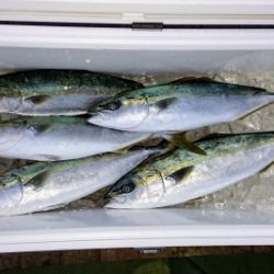 火遠理丸（ほおりまる） 釣果