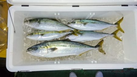 火遠理丸（ほおりまる） 釣果