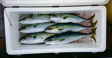 火遠理丸（ほおりまる） 釣果