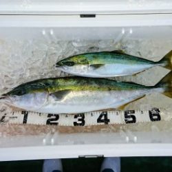 火遠理丸（ほおりまる） 釣果