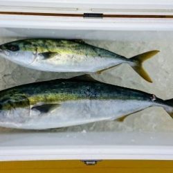 火遠理丸（ほおりまる） 釣果