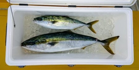 火遠理丸（ほおりまる） 釣果