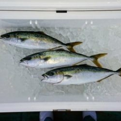 火遠理丸（ほおりまる） 釣果