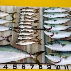 火遠理丸（ほおりまる） 釣果