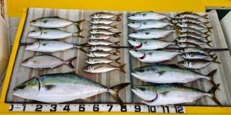 火遠理丸（ほおりまる） 釣果