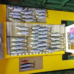 火遠理丸(ほおりまる) 釣果