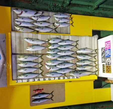 火遠理丸（ほおりまる） 釣果