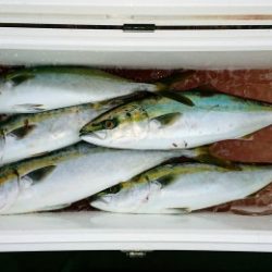 火遠理丸（ほおりまる） 釣果