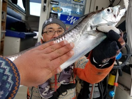 遊漁船　ニライカナイ 釣果