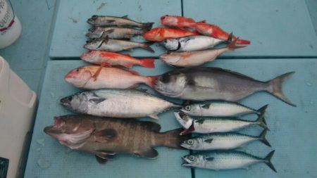 あき丸 釣果