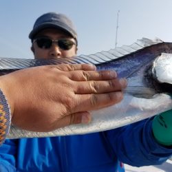 遊漁船 ニライカナイ 釣果