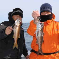 へいみつ丸 釣果