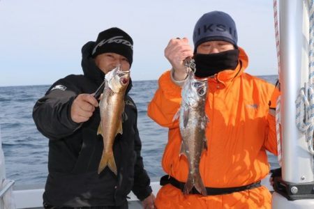 へいみつ丸 釣果