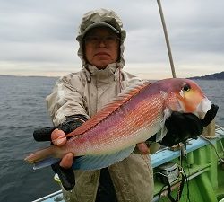 利八丸 釣果