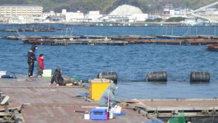 淡路じゃのひれフィッシングパーク 釣果