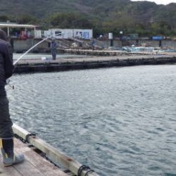 淡路じゃのひれフィッシングパーク 釣果
