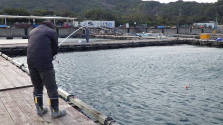 淡路じゃのひれフィッシングパーク 釣果