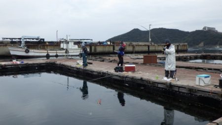 淡路じゃのひれフィッシングパーク 釣果