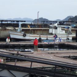 淡路じゃのひれフィッシングパーク 釣果