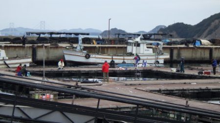 淡路じゃのひれフィッシングパーク 釣果