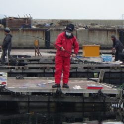 淡路じゃのひれフィッシングパーク 釣果
