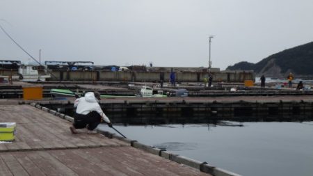 淡路じゃのひれフィッシングパーク 釣果