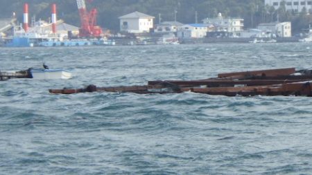 淡路じゃのひれフィッシングパーク 釣果