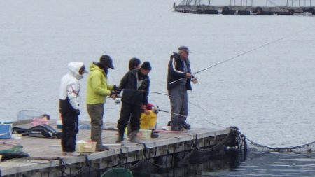 淡路じゃのひれフィッシングパーク 釣果