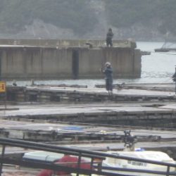 淡路じゃのひれフィッシングパーク 釣果