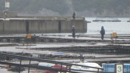 淡路じゃのひれフィッシングパーク 釣果