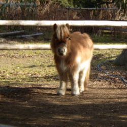 淡路じゃのひれフィッシングパーク 釣果
