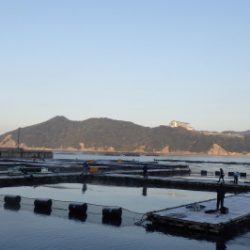 淡路じゃのひれフィッシングパーク 釣果