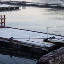 淡路じゃのひれフィッシングパーク 釣果