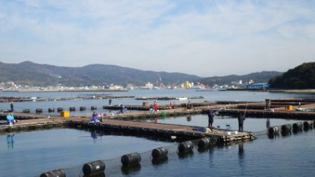 淡路じゃのひれフィッシングパーク 釣果