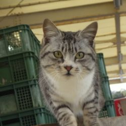 淡路じゃのひれフィッシングパーク 釣果