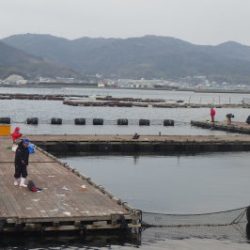 淡路じゃのひれフィッシングパーク 釣果
