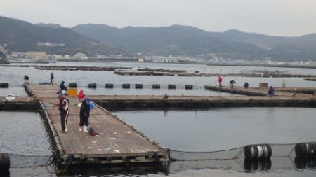 淡路じゃのひれフィッシングパーク 釣果