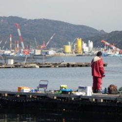 淡路じゃのひれフィッシングパーク 釣果