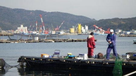 淡路じゃのひれフィッシングパーク 釣果