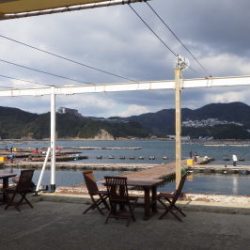 淡路じゃのひれフィッシングパーク 釣果