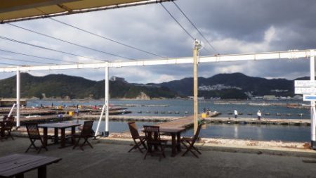 淡路じゃのひれフィッシングパーク 釣果