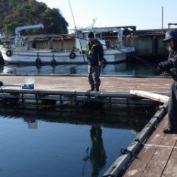淡路じゃのひれフィッシングパーク 釣果