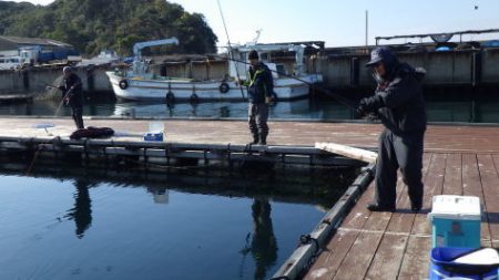 淡路じゃのひれフィッシングパーク 釣果