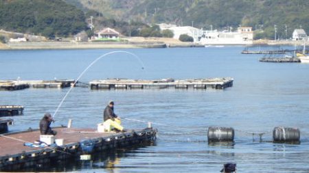 淡路じゃのひれフィッシングパーク 釣果